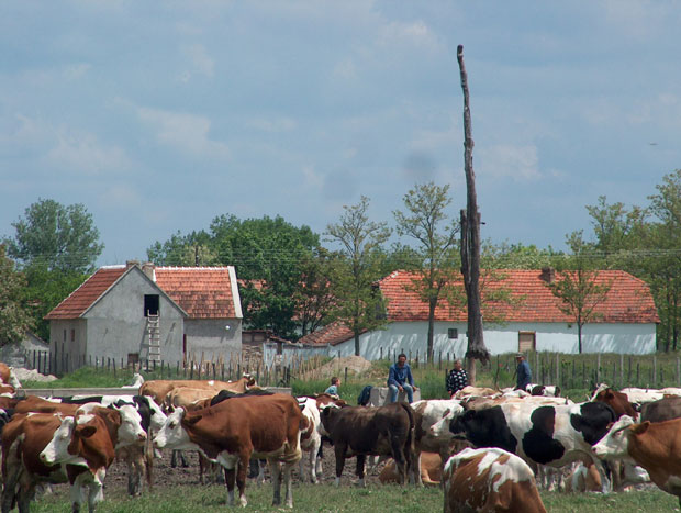 Обрадиве површине смањене за трећину због - потенцијалних инвеститора!